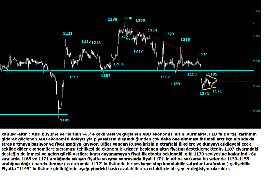 ons-altin-24122014