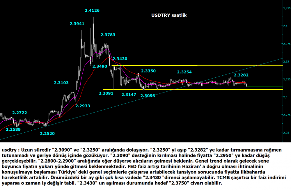 usdtry30-aralik